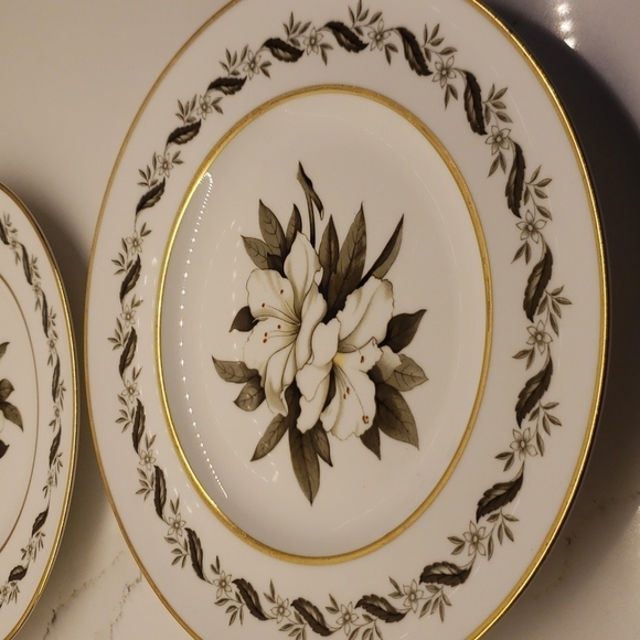 Vintage Set of 4 Royal Worcester Bernina Plate Dish England 9.25" Diam. - Picture 5 of 6